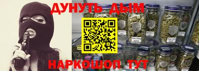 сатива Тверь