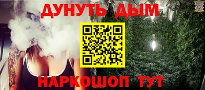 сатива Тверь
