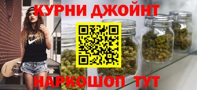 сатива Тверь