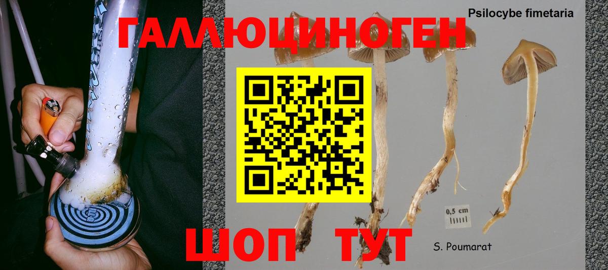 Псилоцибиновые грибы GOLDEN TEACHER Ноябрьск